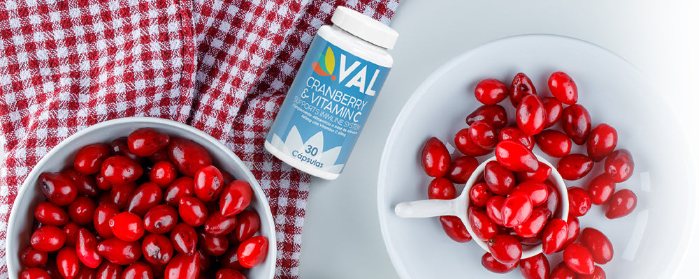 Polifenoles en arándanos (Cranberry) relacionados con la salud de todo el cuerpo