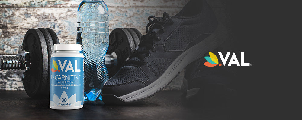 Elimina grasas acumuladas y tonifica tu cuerpo con L-Carnitina