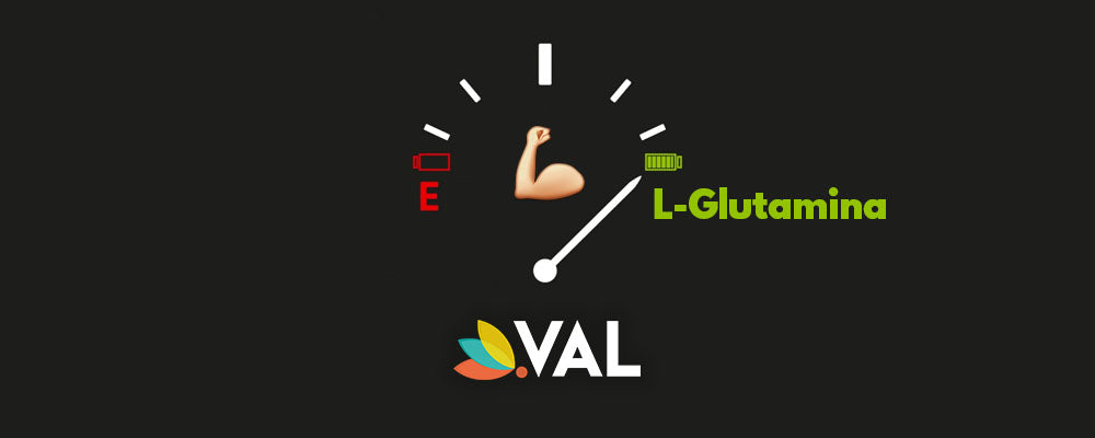 ¿Sabías que la glutamina es un aminoácido que sirve de combustible a los músculos?