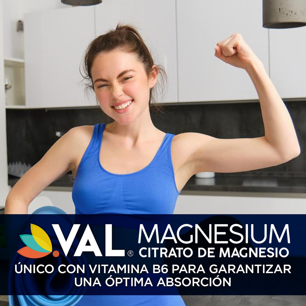 CITRATO DE MAGNESIO 500 Mg + B6
