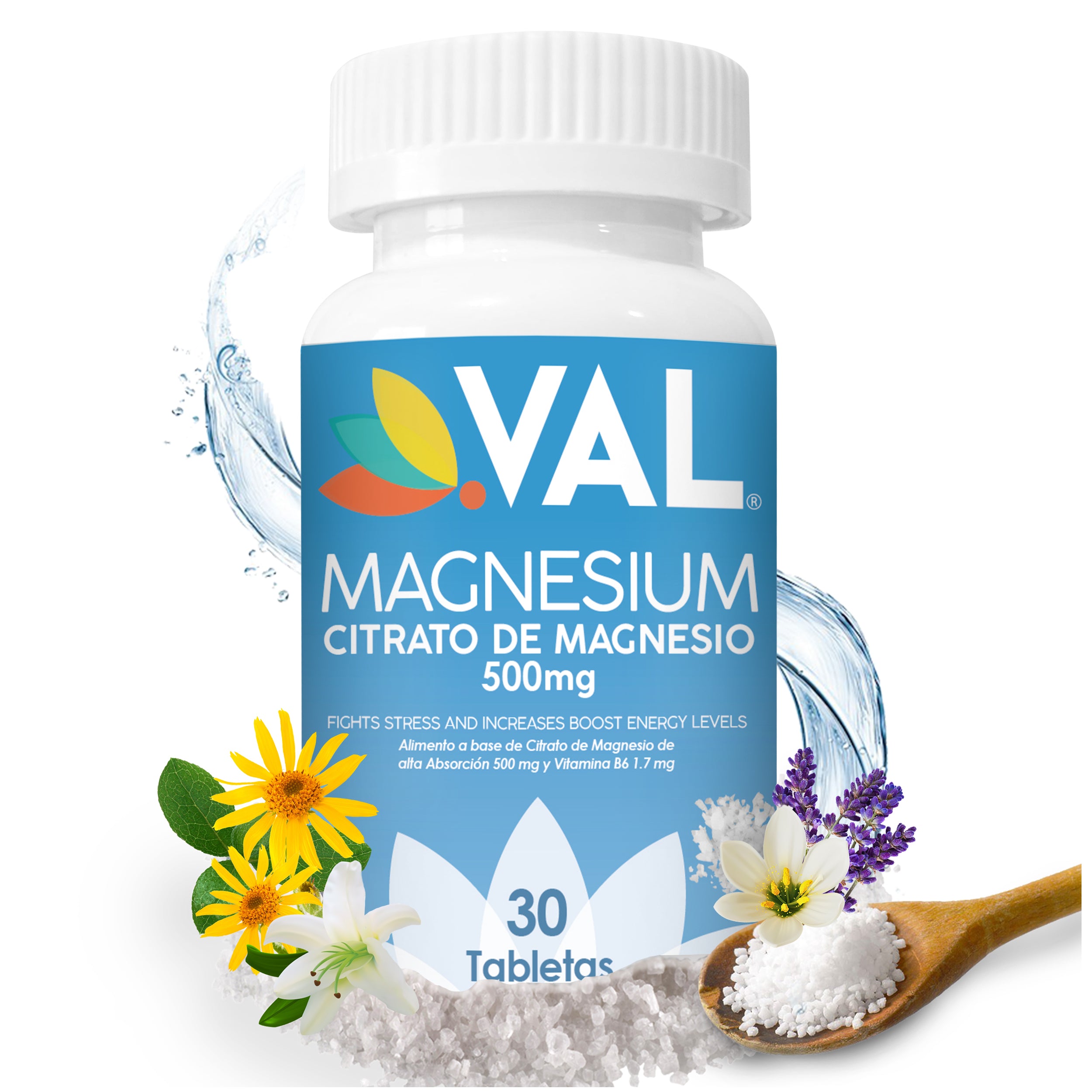 CITRATO DE MAGNESIO 500 Mg + B6