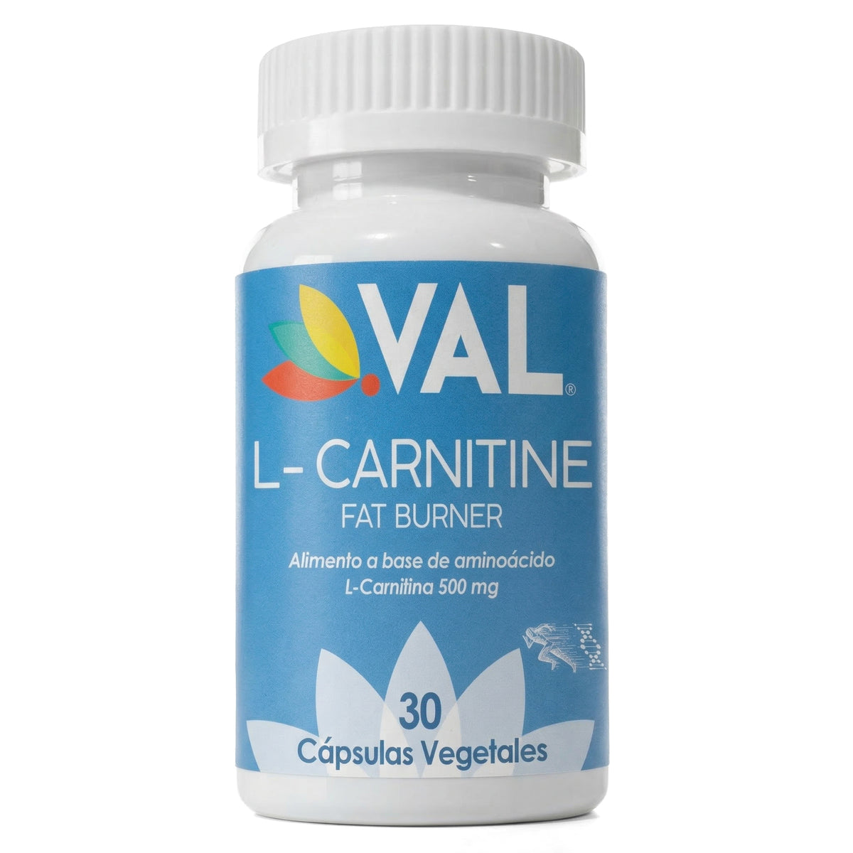 L-CARNITINA 500MG