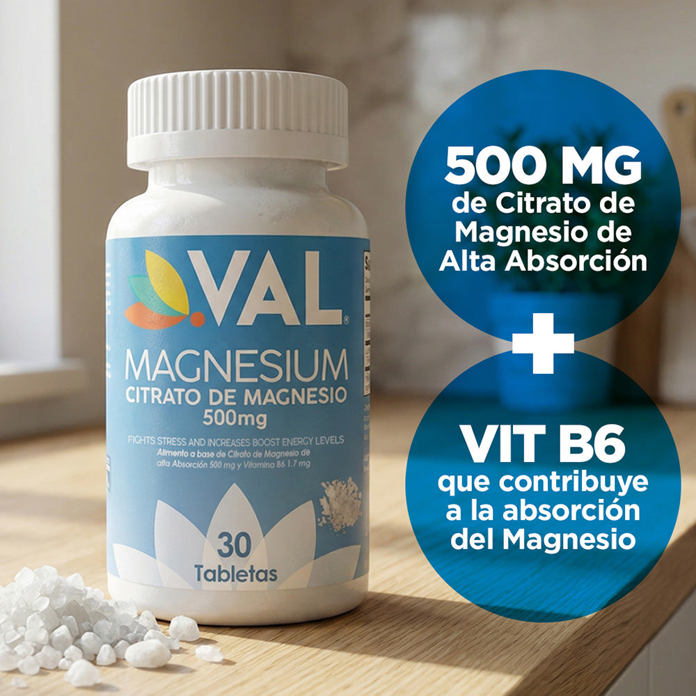 CITRATO DE MAGNESIO 500 Mg + B6