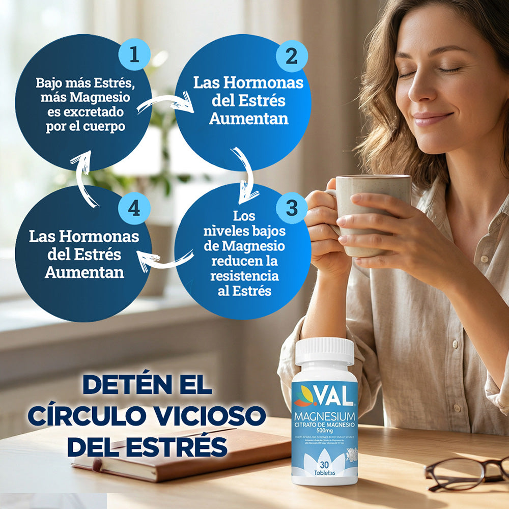 CITRATO DE MAGNESIO 500 Mg + B6
