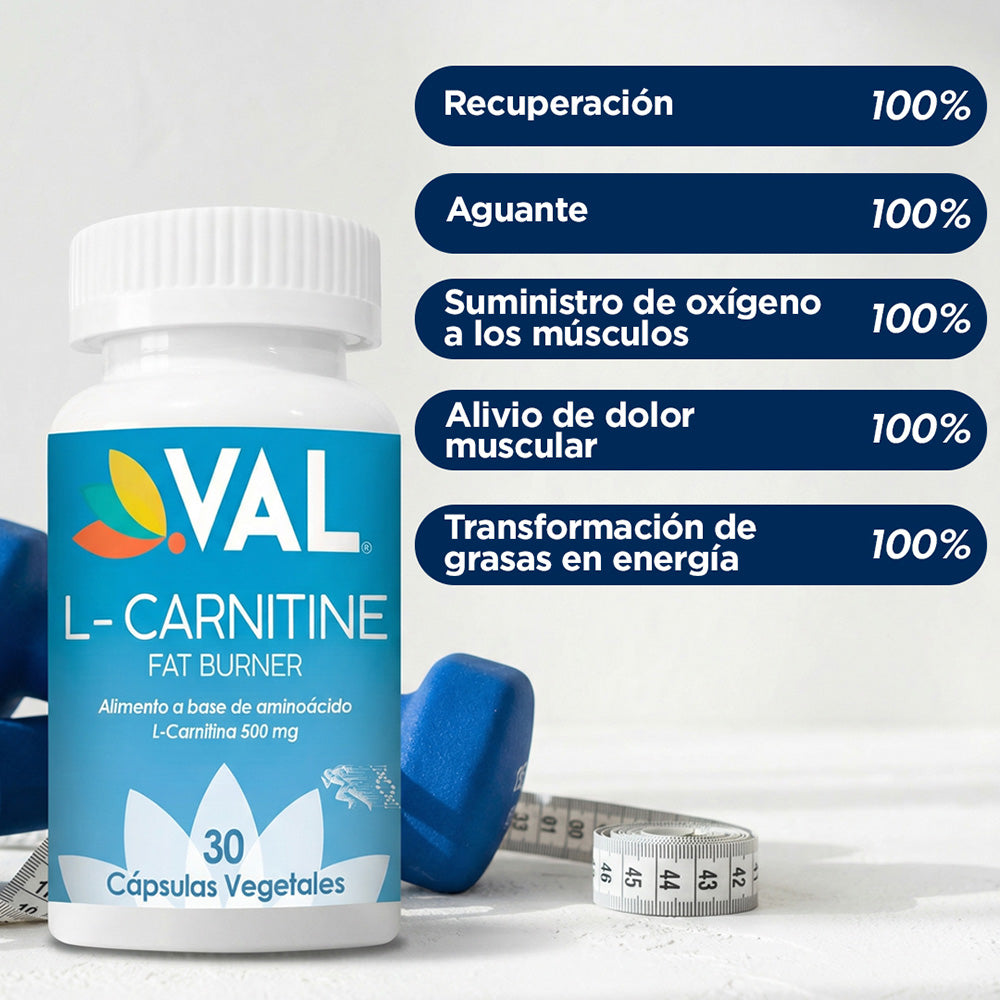 L-CARNITINA 500MG